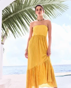 Ramy Brook Devyani Strapless Maxi Dress Daisypleats New